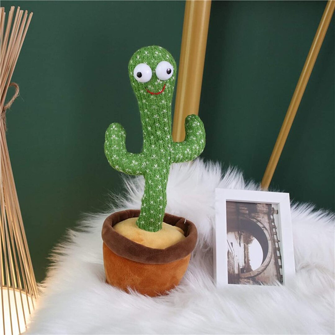 polish toy cactus