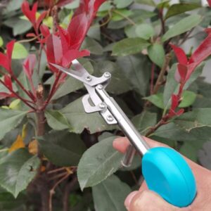 plant trim horticulture hand pruner cut main 3