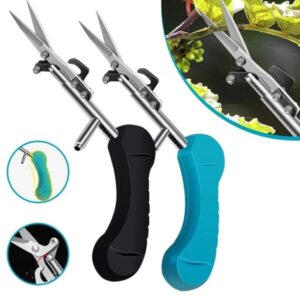 plant trim horticulture hand pruner cut main 4